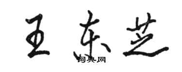駱恆光王東芝行書個性簽名怎么寫