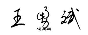 梁錦英王勇斌草書個性簽名怎么寫