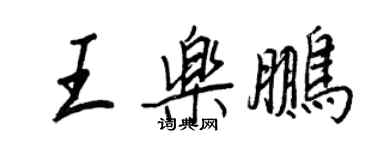 王正良王樂鵬行書個性簽名怎么寫
