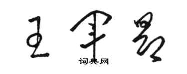 駱恆光王軍昂草書個性簽名怎么寫