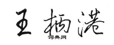 駱恆光王柄港行書個性簽名怎么寫