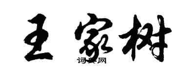 胡問遂王家樹行書個性簽名怎么寫