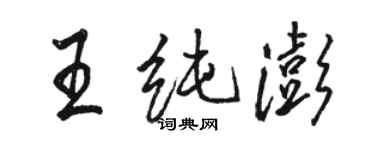 駱恆光王純澎行書個性簽名怎么寫