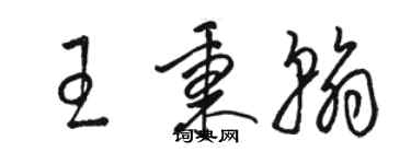 駱恆光王秉翰草書個性簽名怎么寫