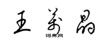 梁錦英王萬晶草書個性簽名怎么寫