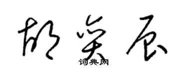 梁錦英胡奕辰草書個性簽名怎么寫