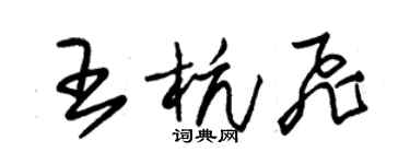 朱錫榮王杭飛草書個性簽名怎么寫