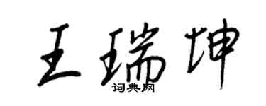 王正良王瑞坤行書個性簽名怎么寫