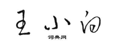 駱恆光王小白草書個性簽名怎么寫