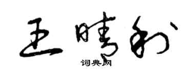 曾慶福王晴利草書個性簽名怎么寫