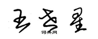 朱錫榮王世星草書個性簽名怎么寫