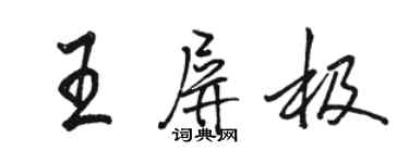 駱恆光王屏極行書個性簽名怎么寫