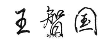 駱恆光王智國行書個性簽名怎么寫