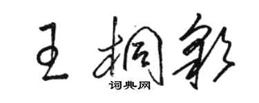 駱恆光王桐彩草書個性簽名怎么寫