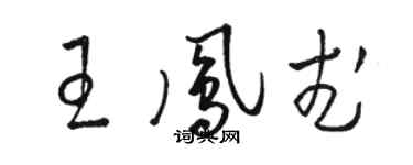 駱恆光王鳳武草書個性簽名怎么寫