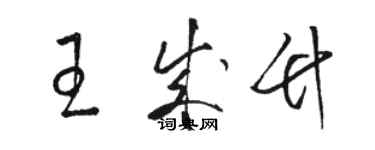 駱恆光王成竹草書個性簽名怎么寫