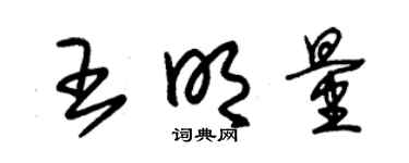朱錫榮王明量草書個性簽名怎么寫