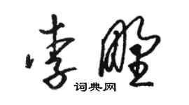 駱恆光李野草書個性簽名怎么寫