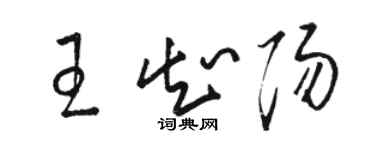 駱恆光王知陽草書個性簽名怎么寫