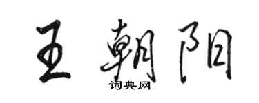 駱恆光王朝陽行書個性簽名怎么寫