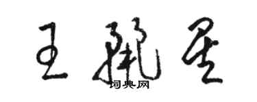 駱恆光王麗星草書個性簽名怎么寫