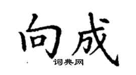 丁謙向成楷書個性簽名怎么寫