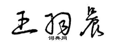 曾慶福王羽晨草書個性簽名怎么寫