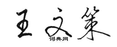 駱恆光王文策行書個性簽名怎么寫