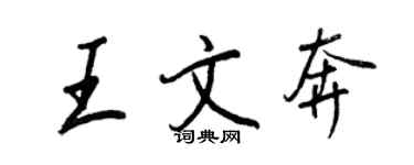 王正良王文奔行書個性簽名怎么寫