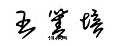 朱錫榮王箐培草書個性簽名怎么寫