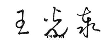 駱恆光王光泰草書個性簽名怎么寫