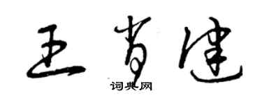 曾慶福王肖健草書個性簽名怎么寫