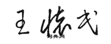 駱恆光王懷民草書個性簽名怎么寫