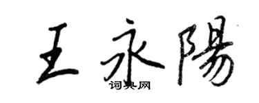 王正良王永陽行書個性簽名怎么寫