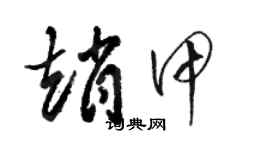 駱恆光趙甲草書個性簽名怎么寫