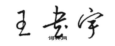 駱恆光王書宇草書個性簽名怎么寫