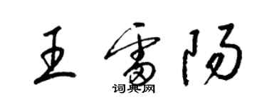 梁錦英王雷陽草書個性簽名怎么寫