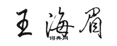 駱恆光王海眉行書個性簽名怎么寫