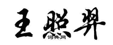 胡問遂王照羿行書個性簽名怎么寫