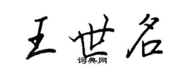 王正良王世名行書個性簽名怎么寫