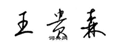 梁錦英王貴森草書個性簽名怎么寫