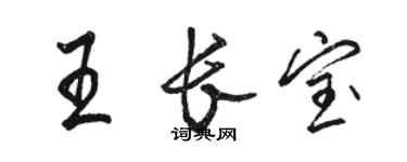 駱恆光王長寶行書個性簽名怎么寫