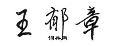 駱恆光王郁章行書個性簽名怎么寫