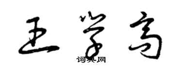 曾慶福王學高草書個性簽名怎么寫