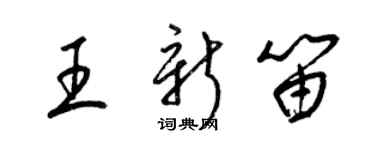 梁錦英王新笛草書個性簽名怎么寫