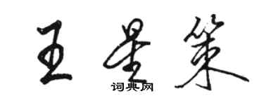 駱恆光王星策行書個性簽名怎么寫