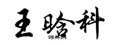胡問遂王晗科行書個性簽名怎么寫