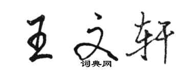 駱恆光王文軒行書個性簽名怎么寫