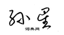 梁錦英孫星草書個性簽名怎么寫