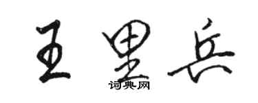 駱恆光王里兵行書個性簽名怎么寫